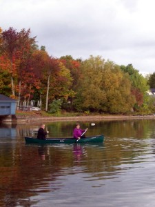 Fall Colors